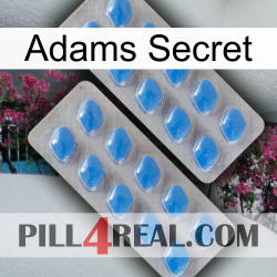 Adams Secret